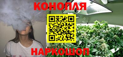 apvp Заводоуковск